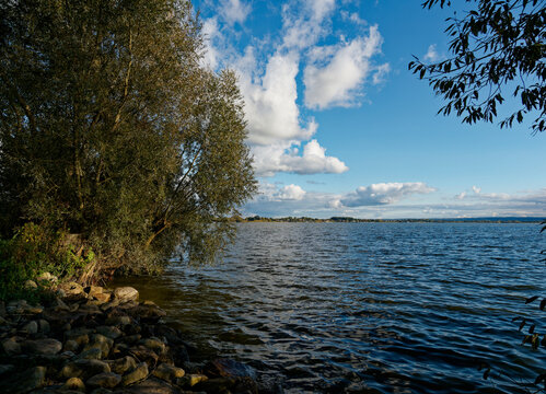 Der D&uuml;mmer See zwischen Lembruch und D&uuml;mmerlohausen, Naturpark D&uuml;mmer, Landkreis Diepholz, Niedersachsen, Deutschland