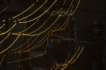 夕日に光る電線20241129-2