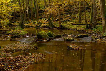 Der Flusslauf der Thulba in der Kernzone des Biosphärenreservats Rhön zwischen Oberthulba und Thulba, Landkreis Bad Kissingen, Unterfranken, Franken, Bayern, Deutschland