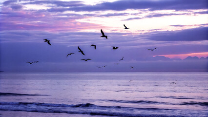 Obraz premium Birds Flying Over the Sea Natural view with sunset time 