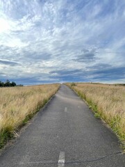 road in the countryside
