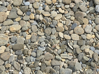 Grey dry stones on the beach