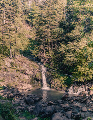 Scenic Waterfalls and Forest Streams in Lush Greenery