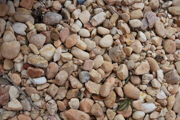 Background of round small yellow stones