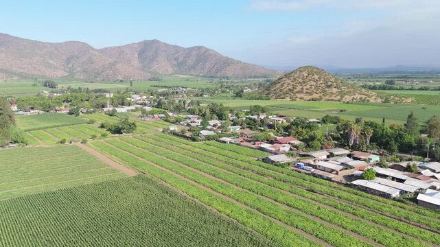 Fields of Chada: A Farming Paradise in Chile
