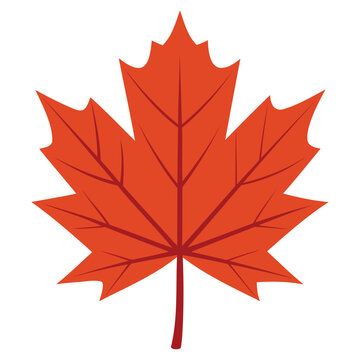 recommend clip art: "Elegant Maple Leaf Vector Design - Nature-Inspired Graphic Art"