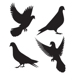 pigeon silhouettes set , black and white vector , in all pose , flying pose , left pose , right pose , on white background . 