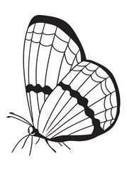 Beautiful butterfly line art in black and white, great for coloring pages, printables, and art projects. A perfect choice for kids and adults alike