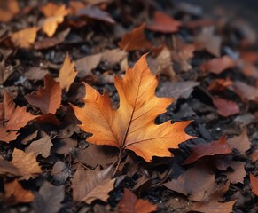 A lone oak leaf smoldering in a pile of dry brown leaves and glowing embers , smoldering, oak leaf