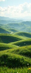 Rolling hills of green grass with a few wildflowers blooming in the distance , nature, flower, hill