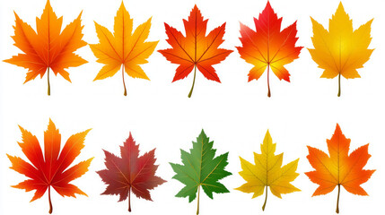 Captivating Autumn Leaves