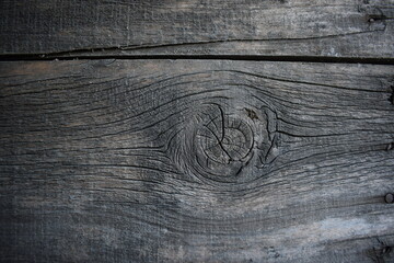 Close up of a tree trunk cut in cross section, Tree felling. Wooden texture. Old log.Wood texture...