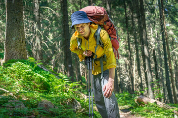 Knee injury on hiking outdoors in forest. Man holding knee by hands and suffering with pain. Sprain...