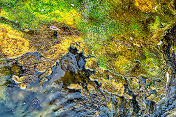 Close-up of the earth surface, Waimangu Volcanic Valley, Rotorua, North Island, New Zealand, Oceania.
