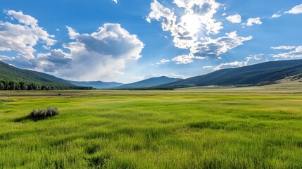 Obraz premium Lush Green Meadow Under Blue Sky and Fluffy Clouds During Daylight