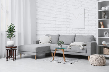 Sofa, shelving unit, coffee table and houseplant on stand in interior of living room