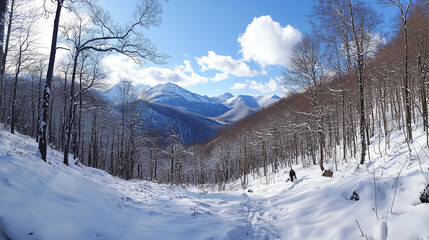 Winter hiking through a snowy forest with mountains in the background during a clear day