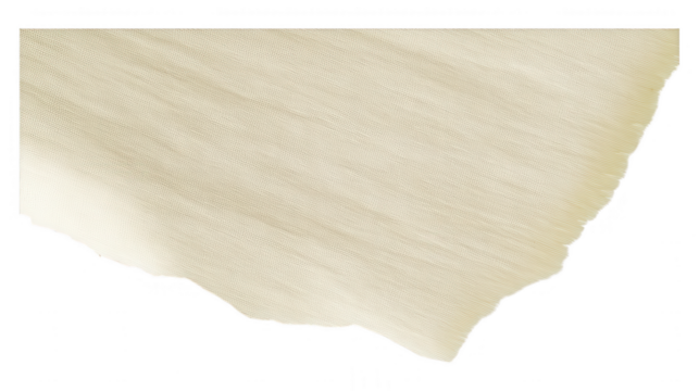 [Composite photograph of textured object and illegible printed text] Side-by-Side Composite: Rough Textured Object & Printed Paper Fragment with Distinct Visual Contrast