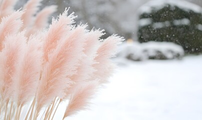 Pink pampas grass in snowy winter scene, Generative AI