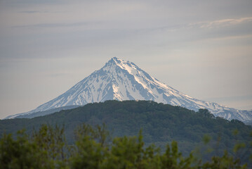 Fototapeta premium There is Viluichinskyi volcano on the background. There is summer forest on the foreground.