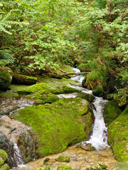 Outdoor countryside mountain hiking path with water fall  in Japan Yaku-Shima