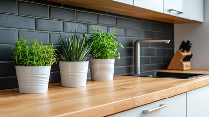 Indoor gardening inspiration with potted plants on kitchen counter modern home decor bright environment close-up view