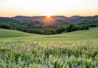 Fototapeta premium 美しい夕日が山々の背後に沈む草原の風景