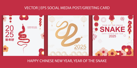 Happy Chinese New Year greeting card, social media post, year of the snake. Instagram posts, . Vector Collection