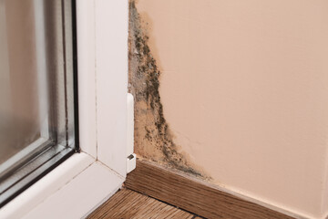 Problems with Ventilation. Stains of toxic Mold, Fungal Bacteria on Wall in Corner near Window. Concept of Condensation, Moisture. High Humidity.