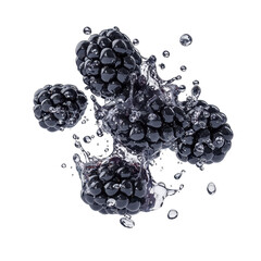 Captivating Splash of Blackberries with Water Droplets: A Refreshing Taste of Nature's Bounty
