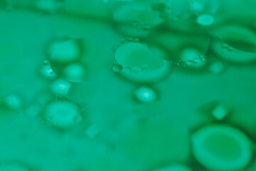 Oil bubbles floating on water, forming abstract art with vibrant colors.