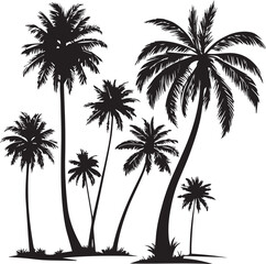 Obraz premium silhouette of coconut tree