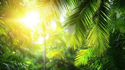 Bright sunlight streams through green palm leaves, illuminating the vibrant vegetation in a dense tropical rainforest. The scene captures the serenity of early morning nature