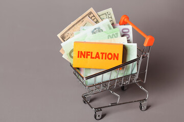 Shopping cart American Dollars money Inflation, Prices rise and Budgeting concept. Cost of Living. Consumer Price Index