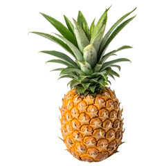 Fototapeta premium A whole pineapple isolated on a transparent background