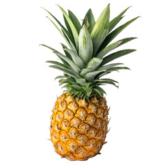 Fototapeta premium A whole pineapple isolated on a transparent background