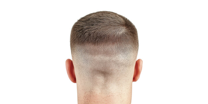 Back view of short haircut with tapered neckline isolated on transparent background
