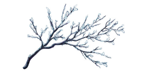 Obraz premium Frost-covered branch with ice crystals isolated on transparent background