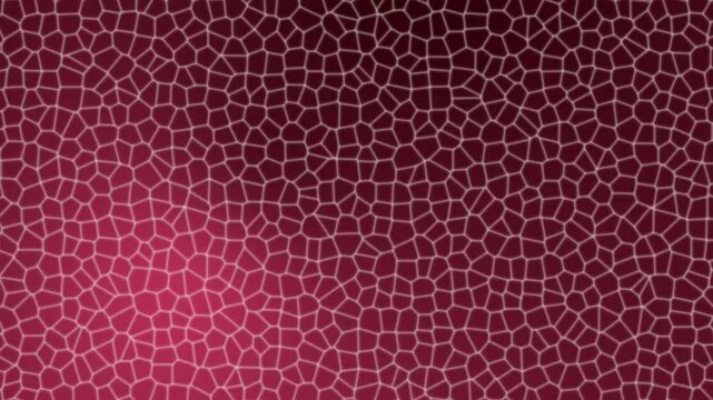 Line Art Pattern Movement Animations