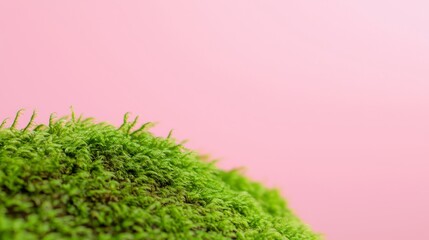 A vibrant green moss contrasts beautifully against a soft pink background, creating a fresh and modern aesthetic.