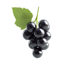Fresh and Juicy Black Grapes with Lush Green Leaves Perfect for Healthy Snacking