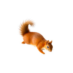 Obraz premium Isolated photo of A brown squirrel with transparent background, PNG