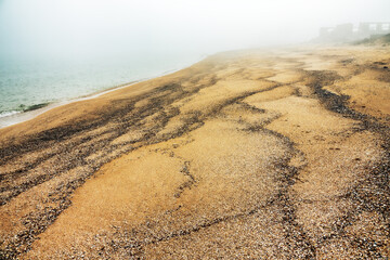 Sea supralitoral after a winter storm. Waves threw up a lot of organic residues on sand, taking...