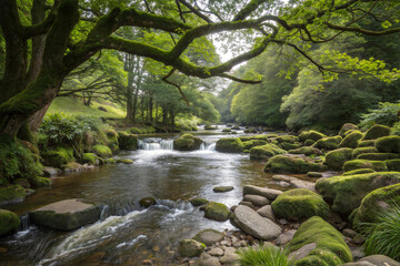 Flowing River with Mossy Stones and Overhanging Trees