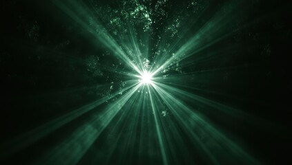 Obraz premium 深い森の中で光が放たれ、幻想的な雰囲気を醸し出している