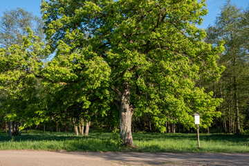 Beschilderung der Wanderwege im Selketal Harz
