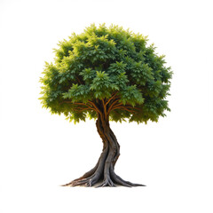 Naklejka premium Big green tree standing alone on white background