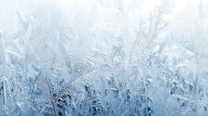 Fototapeta premium Frosted Window Glass Effect with Glowing Highlights and Intricate Ice Patterns