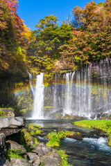 Obraz premium 富士宮市から紅葉に彩られた白糸の滝にかかる虹