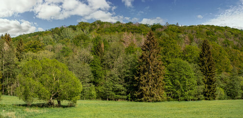 das Selketal Harz Landschaft im frischen grün